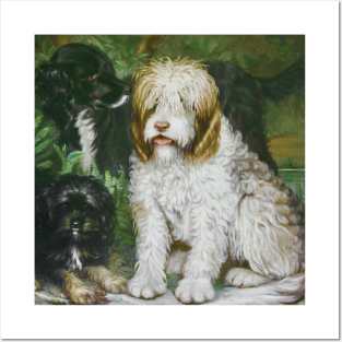 Three Dogs by Coralie Ferey Posters and Art